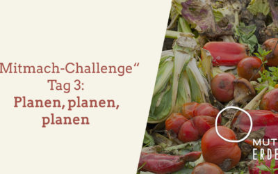 Tag 3 MUTTER ERDE- Mitmach-Challenge: Planen, planen, planen